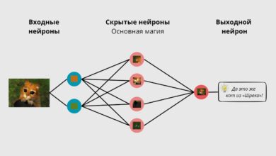 Photo of Что такое нейронка для фото и как она работает